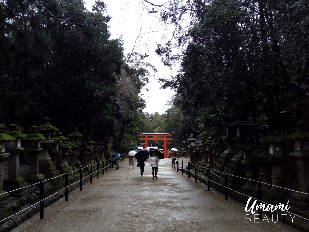 JAPON-UMAMI-BEAUTY (2).jpg