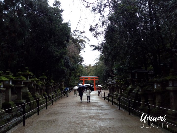 JAPON-UMAMI-BEAUTY (2)