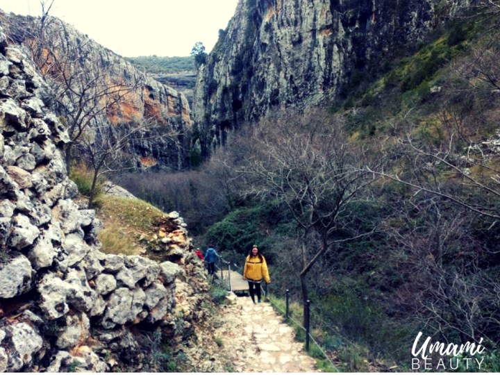 umami-beauty-ensalada-fresas (1)