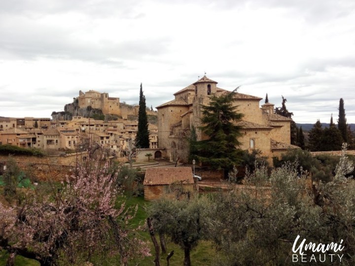 umami-beauty-ensalada-fresas (11)